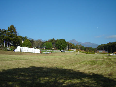 c0024135_2275676.jpg