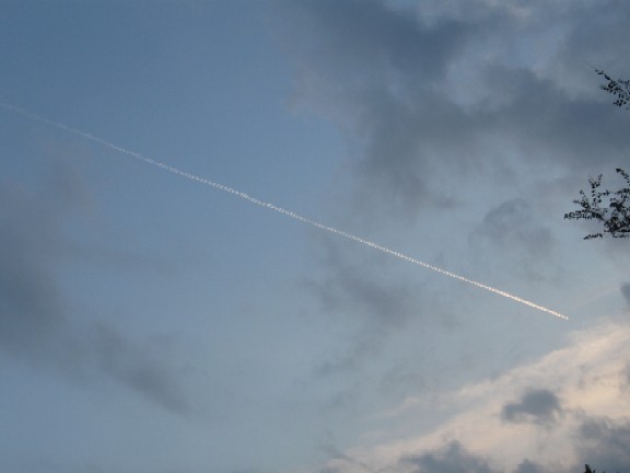 a0013236_1856186.jpg