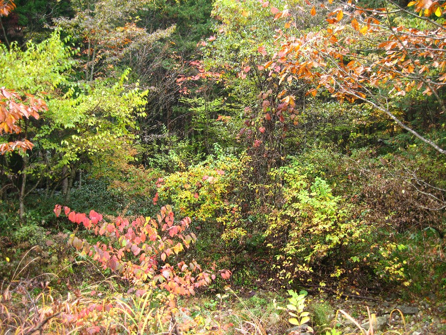 f0182838_1957814.jpg