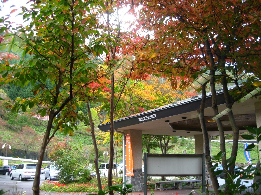 f0182838_20135624.jpg