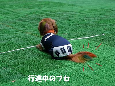f0186040_0274338.jpg