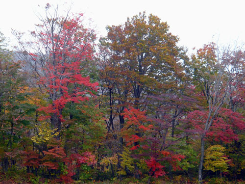 c0131544_1594010.jpg