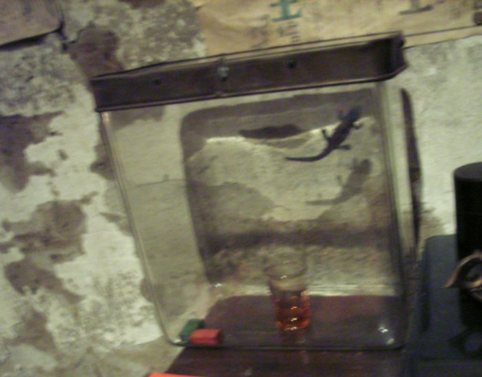 f0057944_2314986.jpg