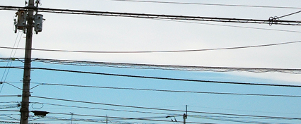 e0137345_945847.jpg