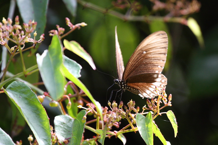 a0094850_2181756.jpg
