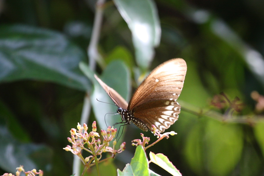 a0094850_2182875.jpg