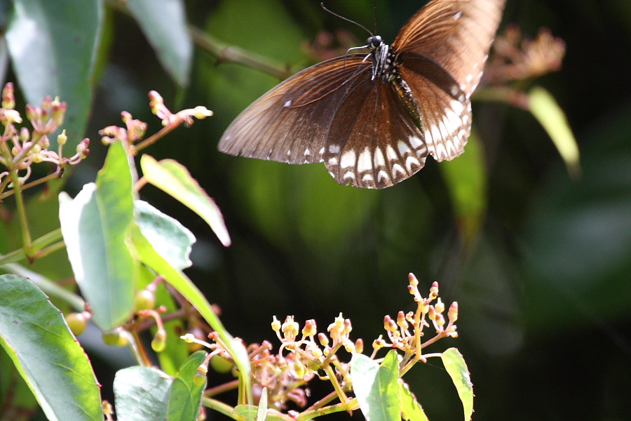 a0094850_2184179.jpg
