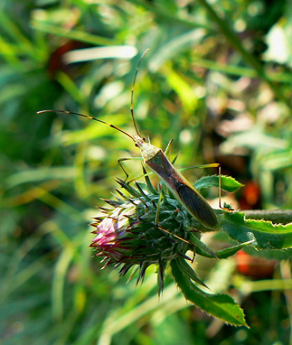d0091754_4504014.jpg