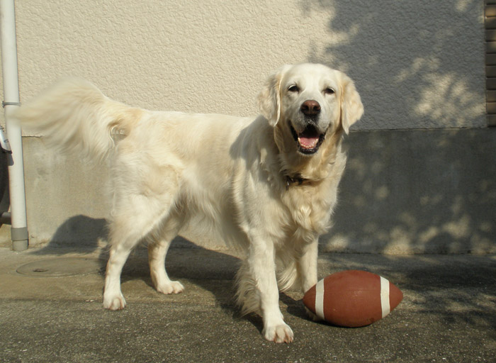 c0110361_15414232.jpg