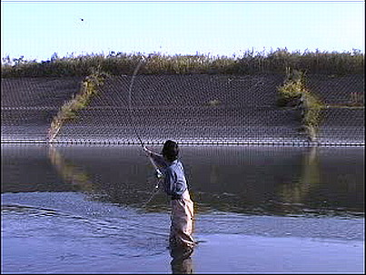 f0084561_16571542.jpg