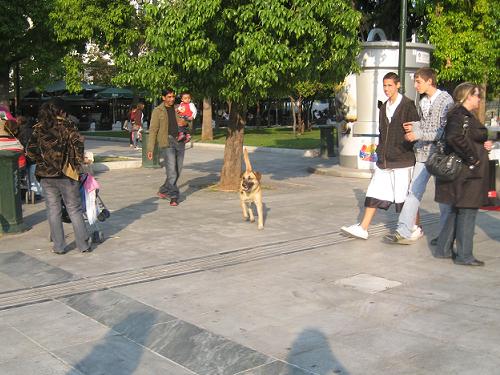 f0037264_209596.jpg