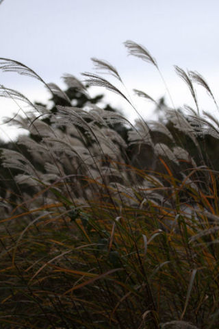 f0107364_11132596.jpg