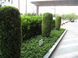 e0041168_1123141.jpg