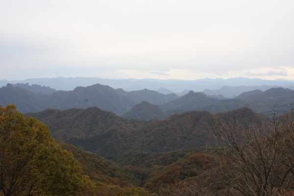 b0069169_1834420.jpg