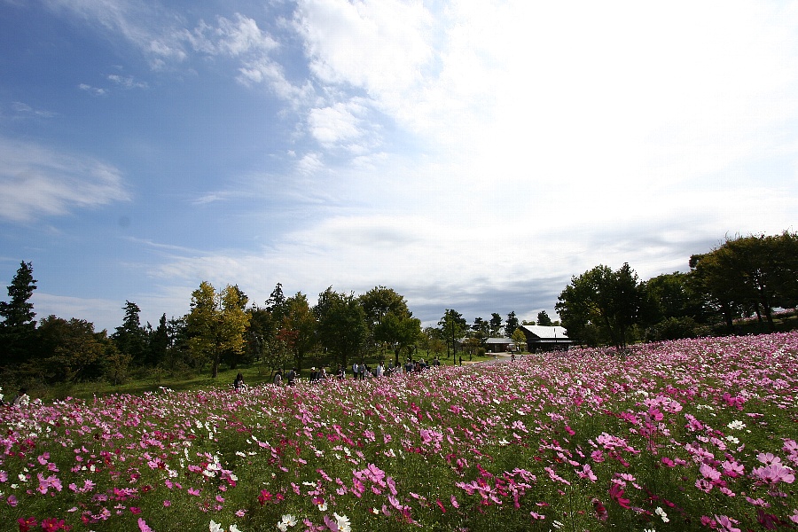 b0084270_23135615.jpg