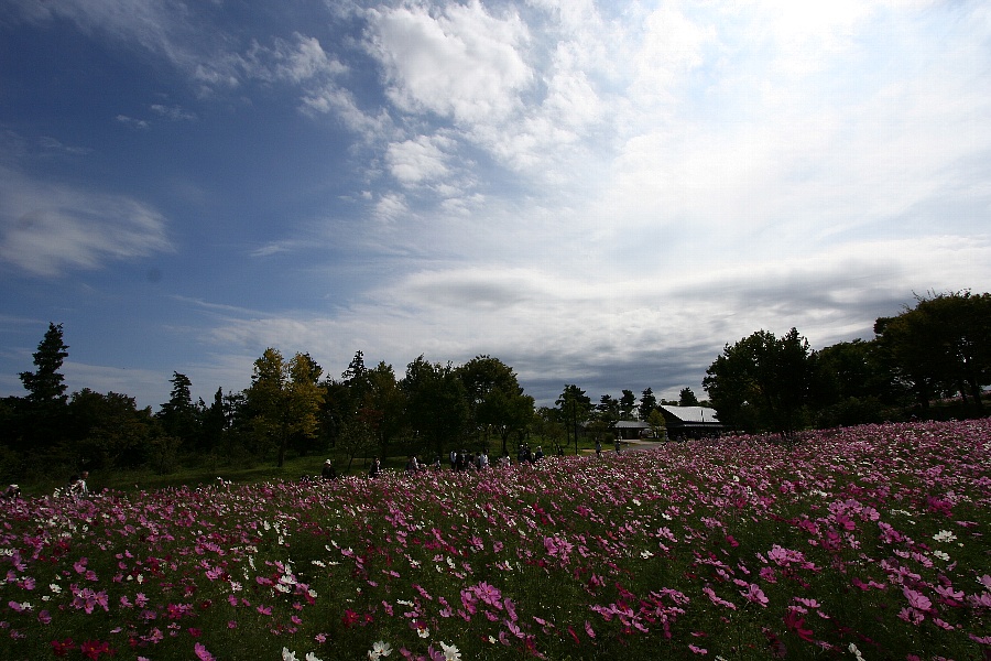b0084270_2315216.jpg