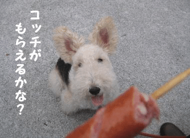 b0091373_14273150.gif