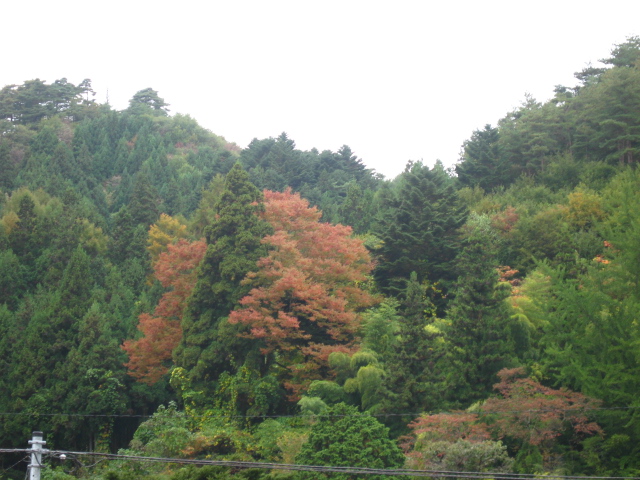 d0070473_9142356.jpg