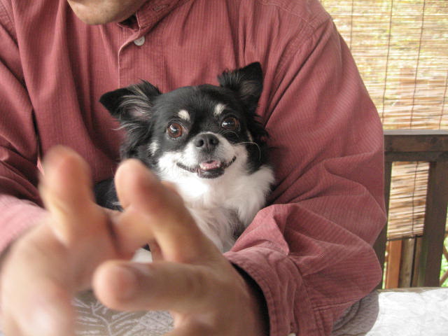 d0070473_9195669.jpg