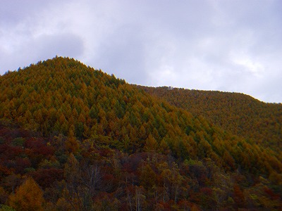 f0182173_1430330.jpg