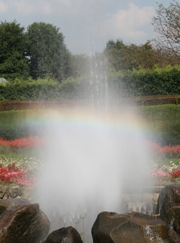 c0073377_2152461.jpg