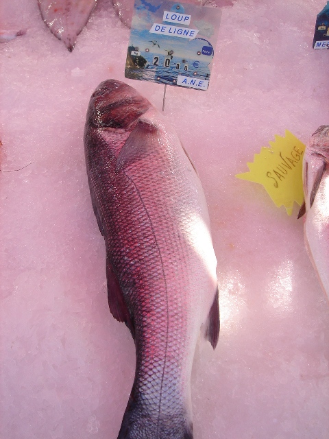 f0136579_661120.jpg