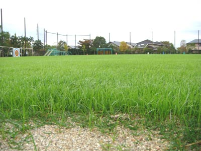 f0153479_175643.jpg