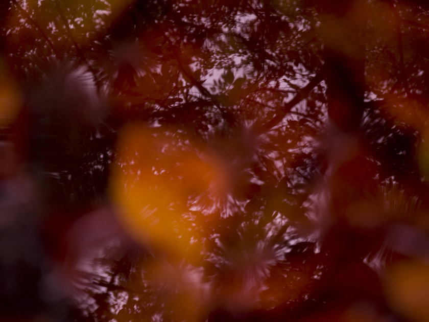 d0152981_141621.jpg