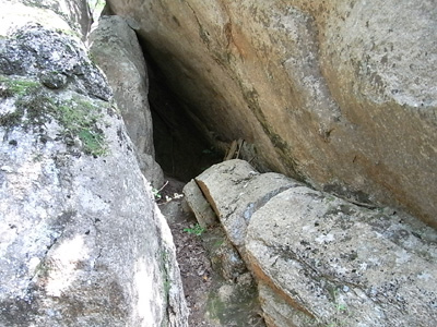 d0142082_1263113.jpg