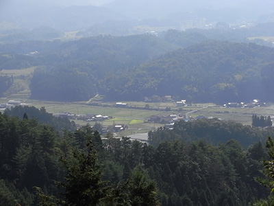 d0142082_136680.jpg