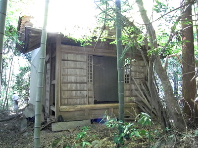 d0142082_15579.jpg