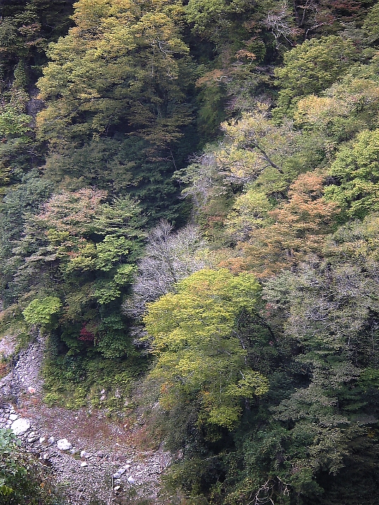 d0129886_1233651.jpg