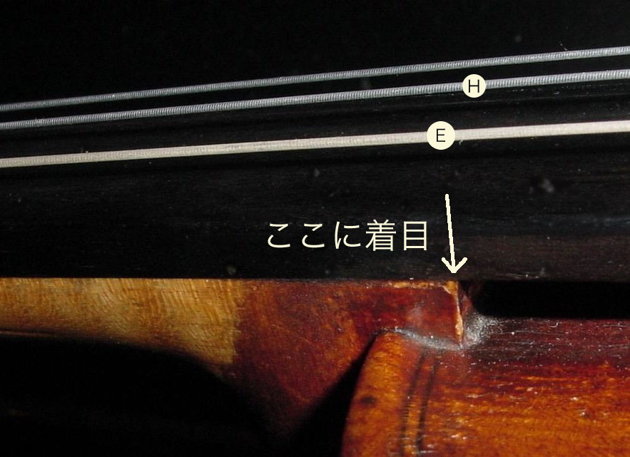 b0046888_016512.jpg