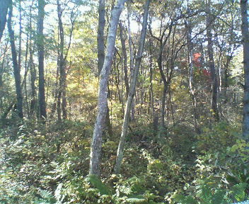 f0077097_14435738.jpg