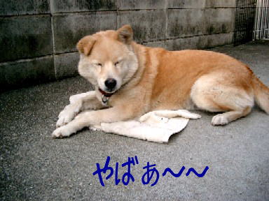 a0040103_17244995.jpg
