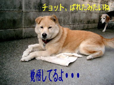 a0040103_17271890.jpg