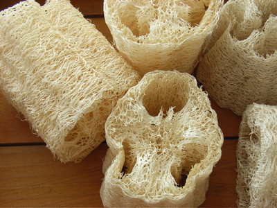 b0099903_11455977.jpg