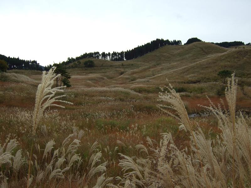 d0078203_22583152.jpg