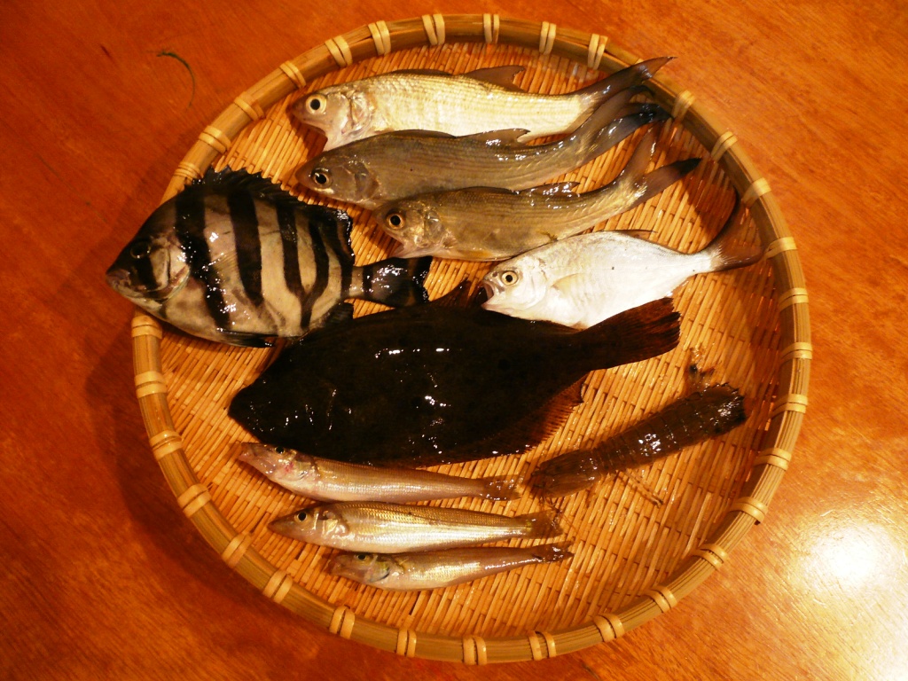 e0148907_230915.jpg