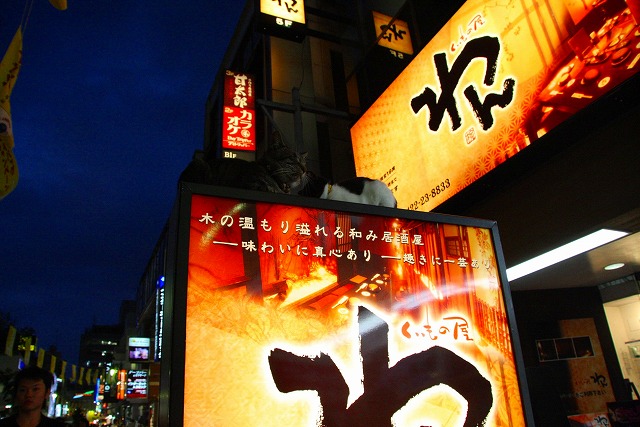 f0039907_23211115.jpg