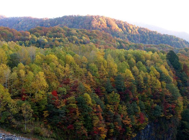 d0129108_9291110.jpg