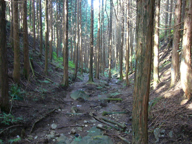 e0015108_21293071.jpg