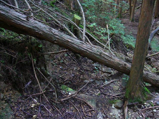 e0015108_21333140.jpg