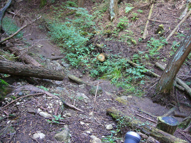 e0015108_21342083.jpg