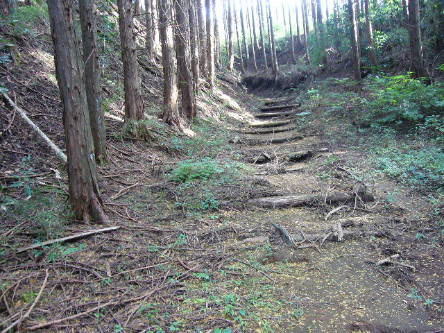 e0015108_21425669.jpg