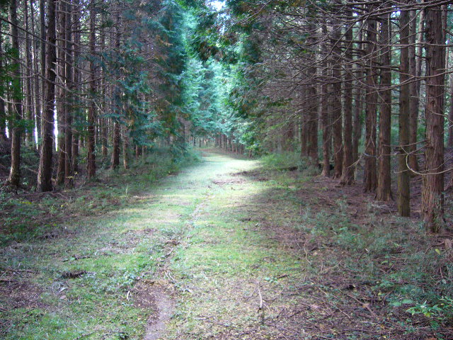 e0015108_2144356.jpg