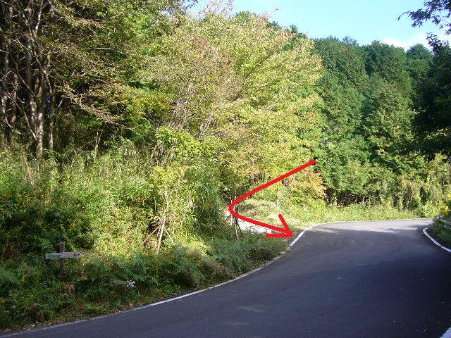 e0015108_21464235.jpg