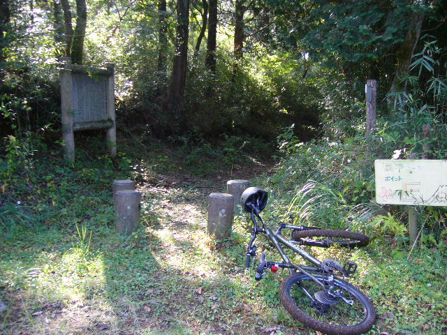 e0015108_21502652.jpg