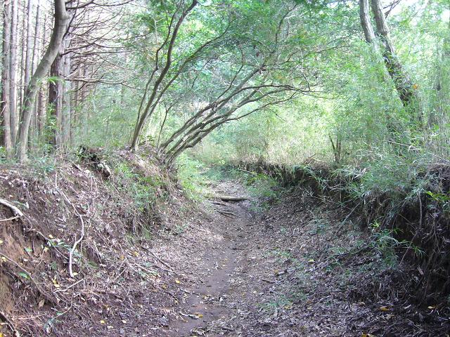 e0015108_21594592.jpg