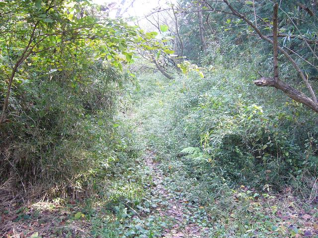 e0015108_2211023.jpg